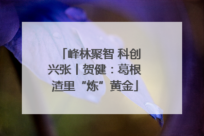 峰林聚智 科创兴张丨贺健：葛根渣里“炼”黄金