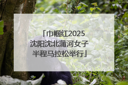 巾帼红2025沈阳沈北蒲河女子半程马拉松举行