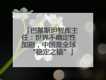巴基斯坦智库主任：世界不确定性加剧，中国是全球“稳定之锚”