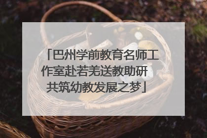 巴州学前教育名师工作室赴若羌送教助研 共筑幼教发展之梦