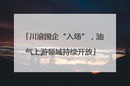 川渝国企“入场”，油气上游领域持续开放