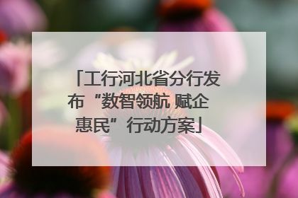 工行河北省分行发布“数智领航 赋企惠民”行动方案