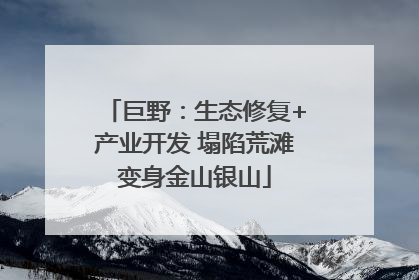 巨野：生态修复+产业开发 塌陷荒滩变身金山银山