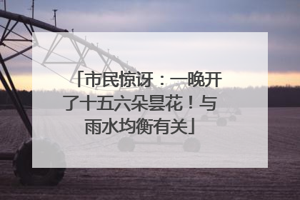 市民惊讶：一晚开了十五六朵昙花！与雨水均衡有关
