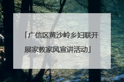 广信区黄沙岭乡妇联开展家教家风宣讲活动