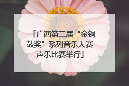 广西第二届“金铜鼓奖”系列音乐大赛声乐比赛举行