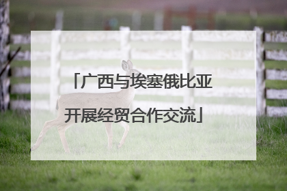 广西与埃塞俄比亚开展经贸合作交流