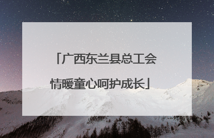 广西东兰县总工会情暖童心呵护成长