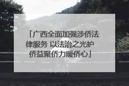 广西全面加强涉侨法律服务 以法治之光护侨益聚侨力暖侨心