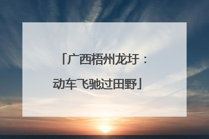 广西梧州龙圩：动车飞驰过田野