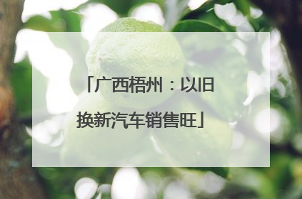 广西梧州：以旧换新汽车销售旺