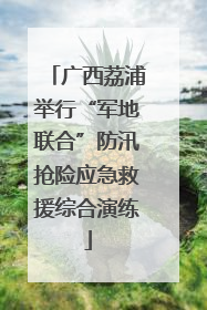 广西荔浦举行“军地联合”防汛抢险应急救援综合演练