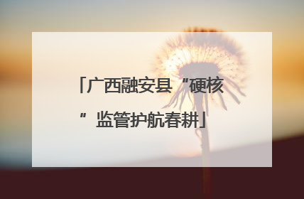 广西融安县“硬核”监管护航春耕