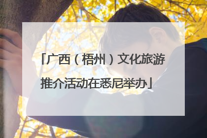 广西（梧州）文化旅游推介活动在悉尼举办