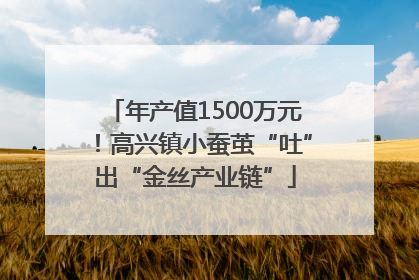 年产值1500万元！高兴镇小蚕茧“吐”出“金丝产业链”