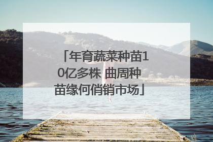 年育蔬菜种苗10亿多株 曲周种苗缘何俏销市场