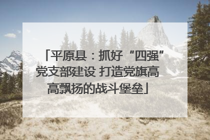平原县：抓好“四强”党支部建设 打造党旗高高飘扬的战斗堡垒