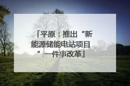 平原：推出“新能源储能电站项目”一件事改革