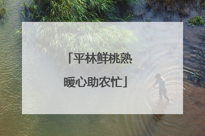 平林鲜桃熟 暖心助农忙