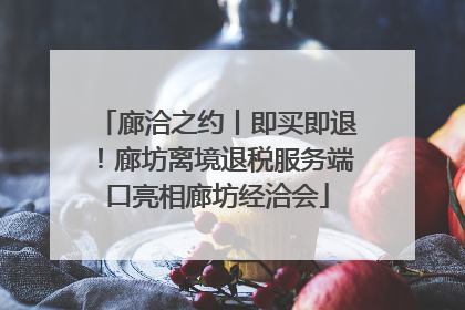 廊洽之约丨即买即退！廊坊离境退税服务端口亮相廊坊经洽会