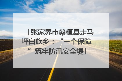 张家界市桑植县走马坪白族乡：“三个保障”筑牢防汛安全堤