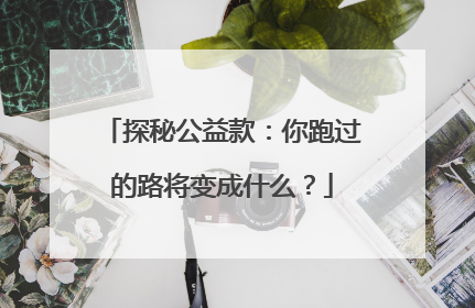 探秘公益款：你跑过的路将变成什么？