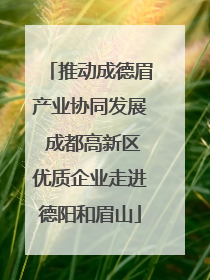 推动成德眉产业协同发展 成都高新区优质企业走进德阳和眉山