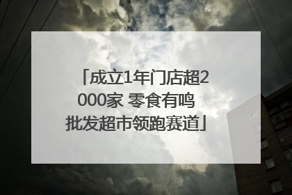 成立1年门店超2000家 零食有鸣批发超市领跑赛道