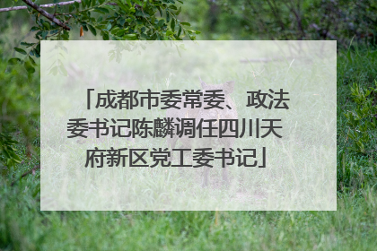 成都市委常委、政法委书记陈麟调任四川天府新区党工委书记