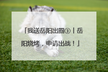 我送岳阳出圈③丨岳阳烧烤，申请出战！