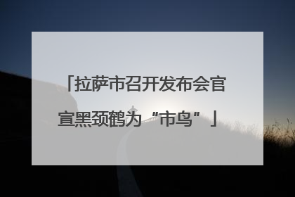 拉萨市召开发布会官宣黑颈鹤为“市鸟”