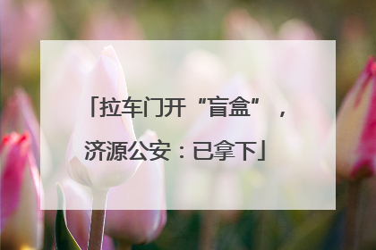 拉车门开“盲盒”，济源公安：已拿下