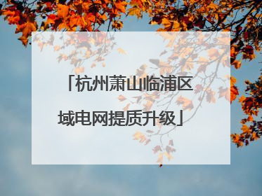 杭州萧山临浦区域电网提质升级