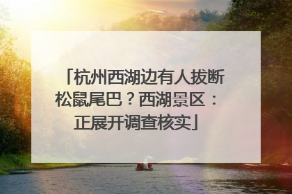 杭州西湖边有人拔断松鼠尾巴？西湖景区：正展开调查核实