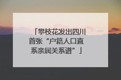 攀枝花发出四川首张“户籍人口直系亲属关系谱”