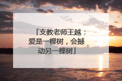 支教老师王越：爱是一棵树，会撼动另一棵树