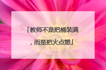 教师不是把桶装满，而是把火点燃