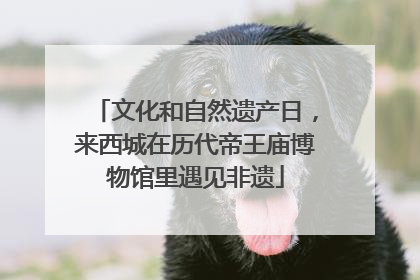 文化和自然遗产日，来西城在历代帝王庙博物馆里遇见非遗