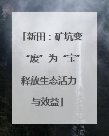 新田：矿坑变“废”为“宝” 释放生态活力与效益