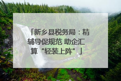 新乡县税务局：精辅导促规范 助企汇算“轻装上阵”