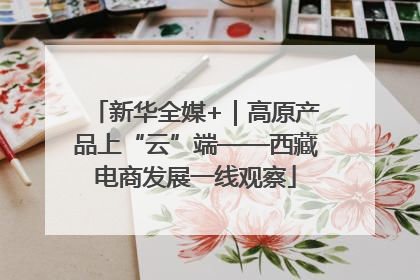 新华全媒+｜高原产品上“云”端——西藏电商发展一线观察