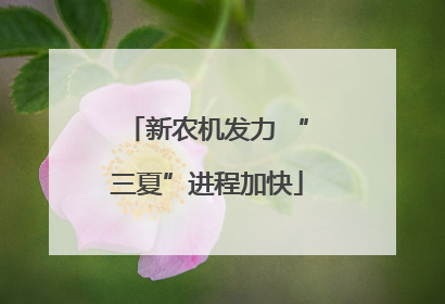 新农机发力 “三夏”进程加快