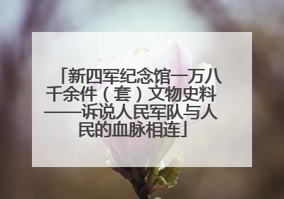 新四军纪念馆一万八千余件（套）文物史料——诉说人民军队与人民的血脉相连