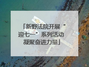 新野法院开展“迎七一”系列活动 凝聚奋进力量