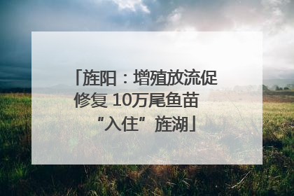 旌阳：增殖放流促修复 10万尾鱼苗“入住”旌湖