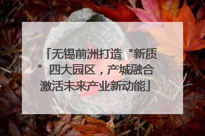 无锡前洲打造“新质”四大园区，产城融合激活未来产业新动能