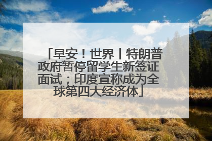 早安！世界丨特朗普政府暂停留学生新签证面试；印度宣称成为全球第四大经济体