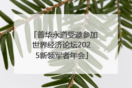 普华永道受邀参加世界经济论坛2025新领军者年会