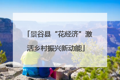 景谷县“花经济”激活乡村振兴新动能