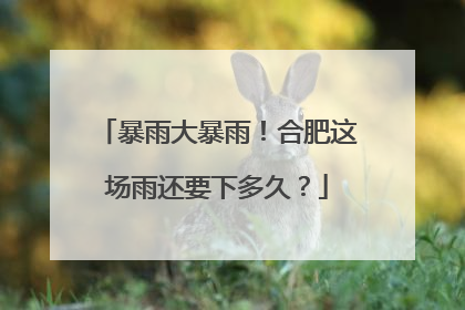 暴雨大暴雨！合肥这场雨还要下多久？
